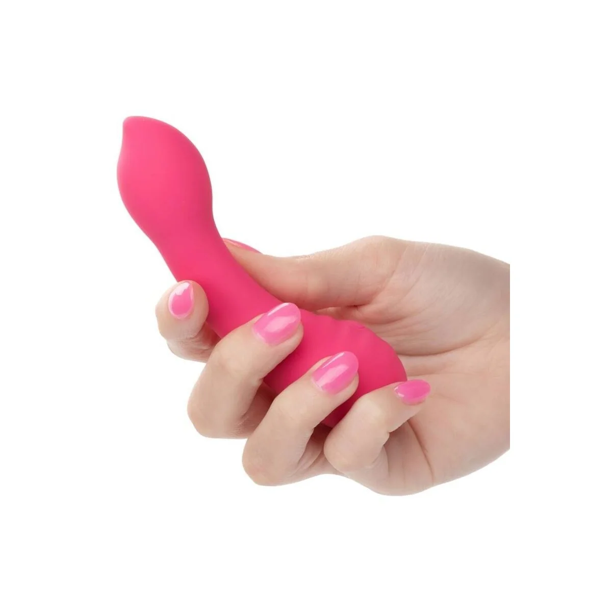 PIXIES TEASER ROSA VON CALEXOTICS