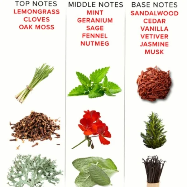 Eol Phr Parfum Deluxe 50 ml - Romantic von Eye Of Love kaufen | Fesselliebe