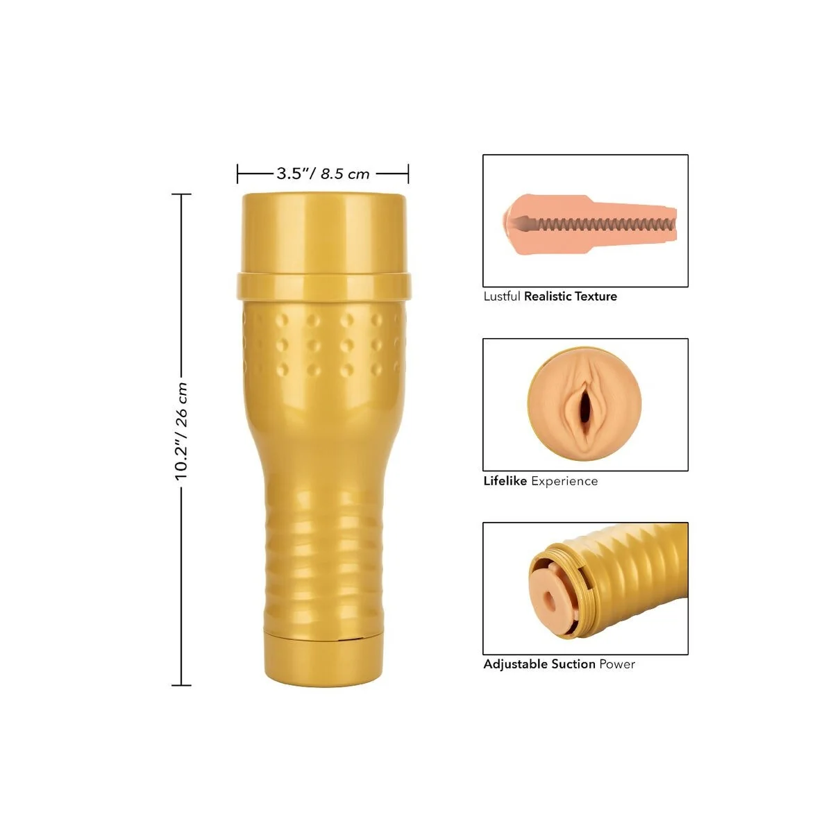 Persönlicher Trainer-Lube-Masturbator von Private kaufen | Fesselliebe