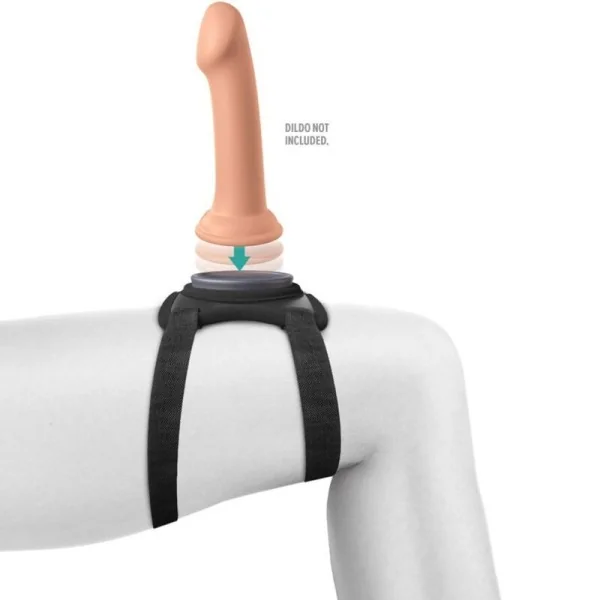 Body Dock Lap Strap-Gurt von Pipedreams kaufen | Fesselliebe