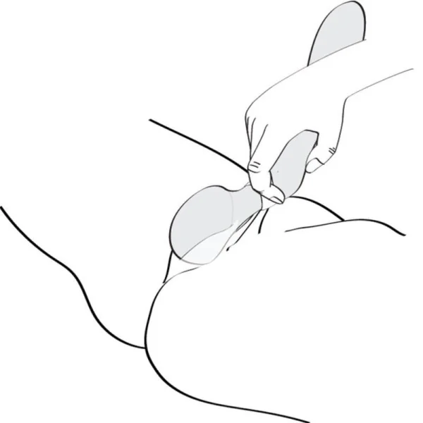 Zoa Intimmassager Fuchsia von Shunga Toys kaufen | Fesselliebe