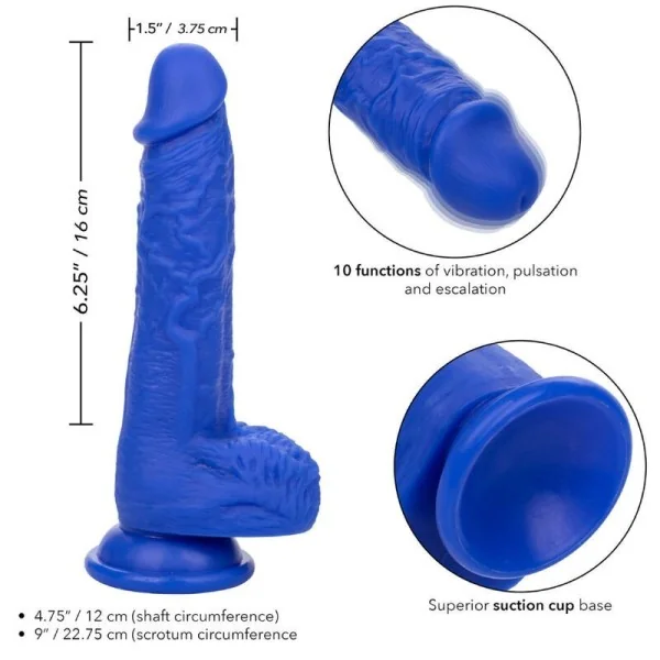 Admiral Sailor realistischer Dildo-Vibrator Blau von Calexotics kaufen | Fesselliebe