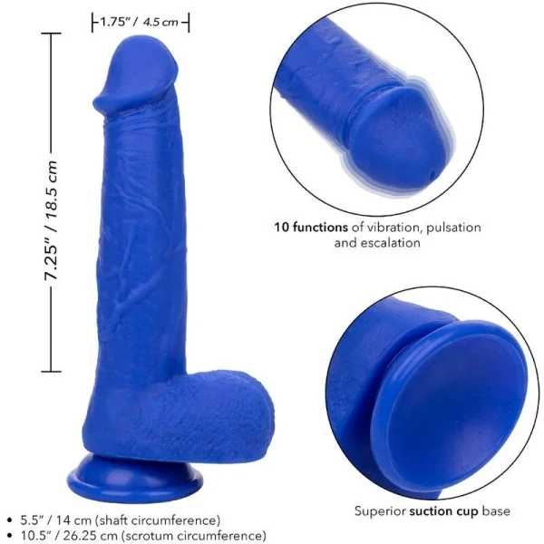 Admiral Kapitn realistischer Dildo-Vibrator Blau von Calexotics kaufen | Fesselliebe
