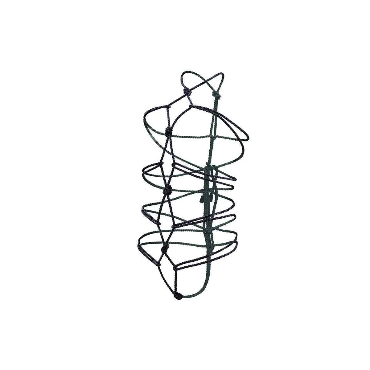 Boundless Seil 10m Schwarz von Calexotics kaufen | Fesselliebe