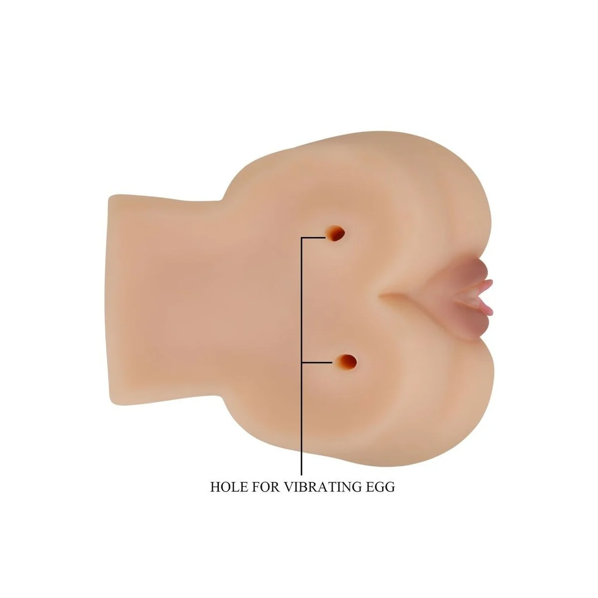 Realistischer Vagina- und Anus-Kylie-Vibrator von Crazy Bull kaufen | Fesselliebe