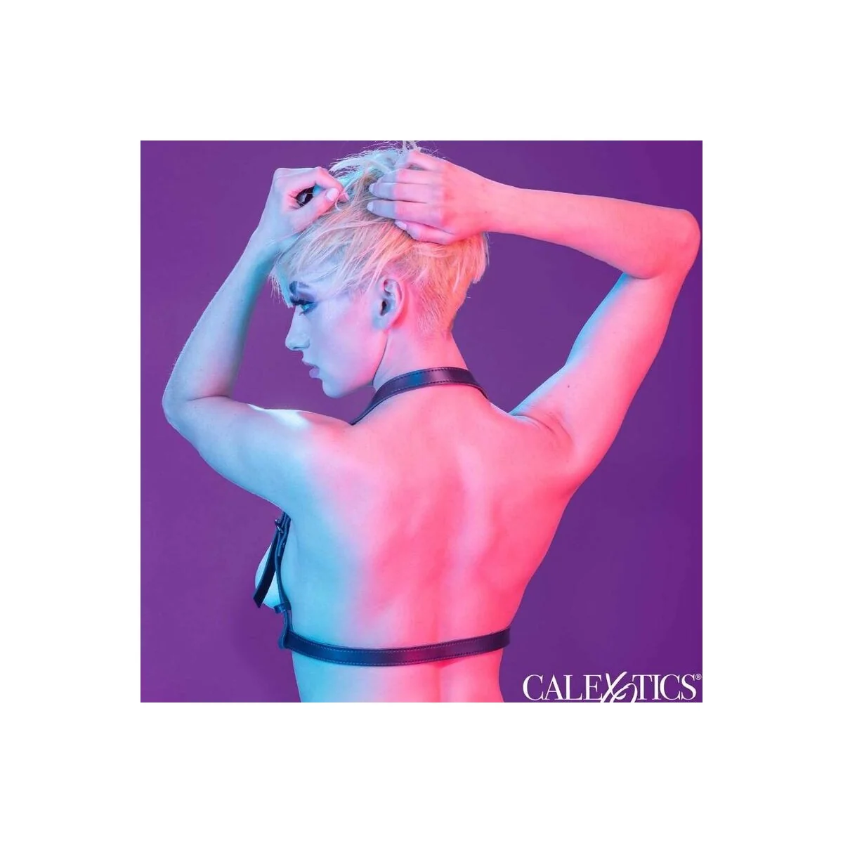 Euphoria Halfterschnallengeschirr Schwarz von Calexotics kaufen | Fesselliebe