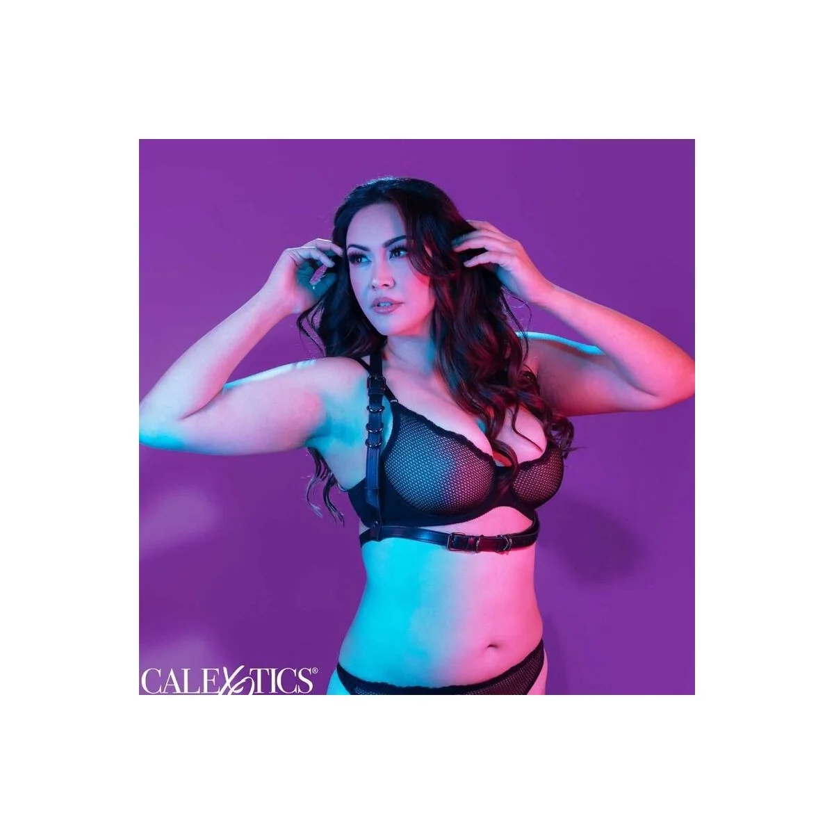 Euphoria Plus Size Halter Buckle Harness Schwarz von Calexotics kaufen | Fesselliebe