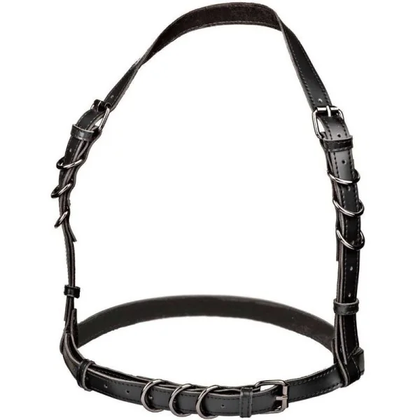 Euphoria Plus Size Halter Buckle Harness Schwarz von Calexotics kaufen | Fesselliebe