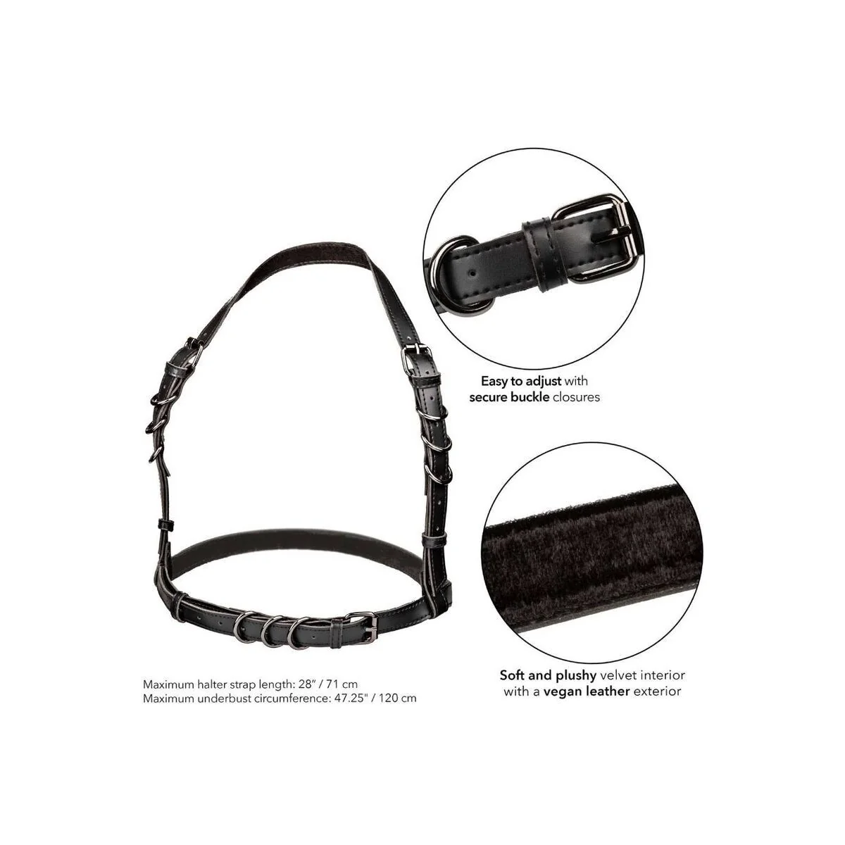 Euphoria Plus Size Halter Buckle Harness Schwarz von Calexotics kaufen | Fesselliebe