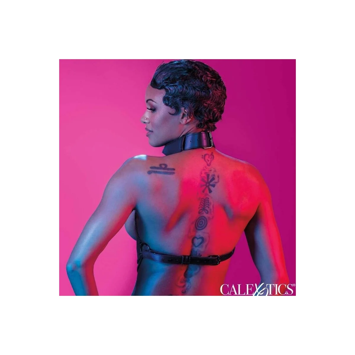 Euphoria Mehrkettenhalsbandgeschirr von Calexotics kaufen | Fesselliebe