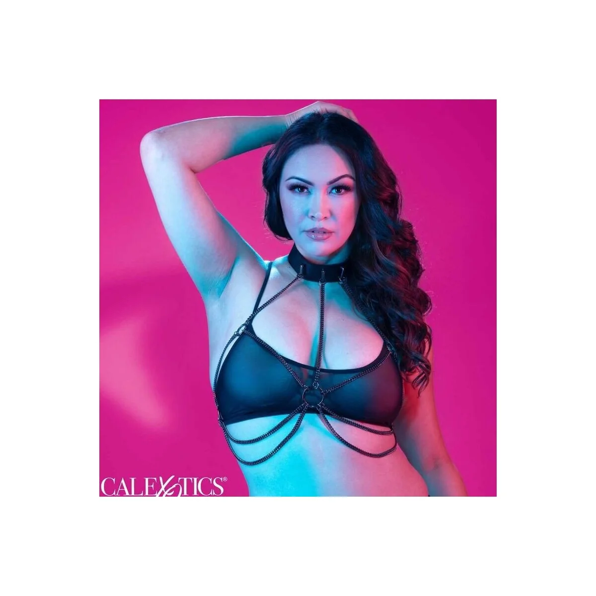 Euphoria Plus Size Mehrkettenhalsbandgeschirr von Calexotics kaufen | Fesselliebe