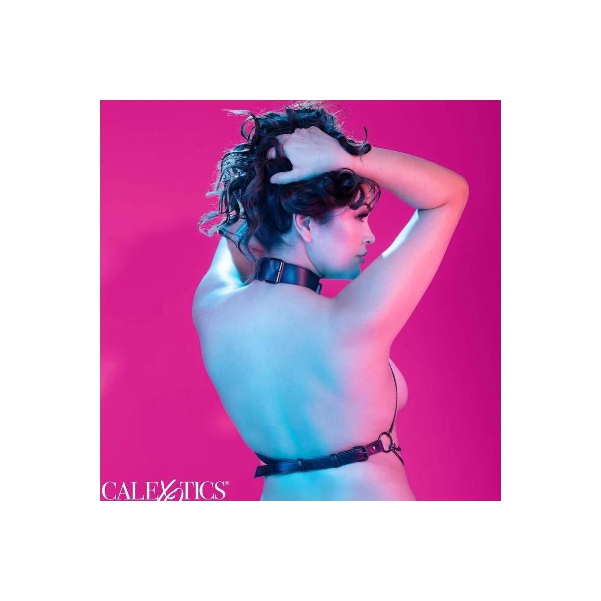 Euphoria Plus Size Mehrkettenhalsbandgeschirr von Calexotics kaufen | Fesselliebe