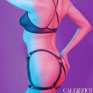 Euphoria-Reit-Oberteilgeschirr von Calexotics kaufen | Fesselliebe