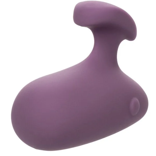 Mod Touch Stimulator Lila von Calexotics kaufen | Fesselliebe