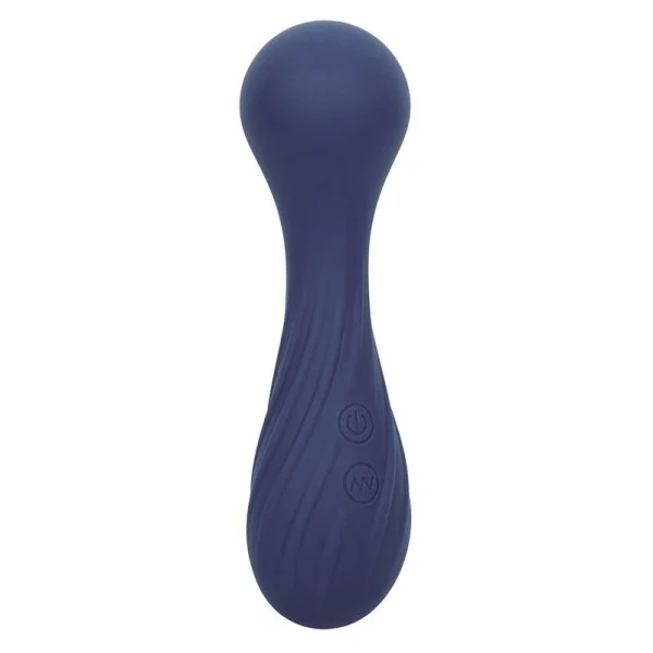 Charisma Temptation Massager 12 Funktionen Lila von Calexotics kaufen | Fesselliebe