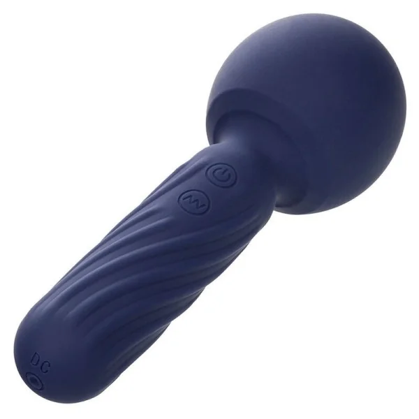 Charisma Seduction Massager 12 Funktionen 17,75 cm X 6,25 cm Lila von Calexotics kaufen | Fesselliebe