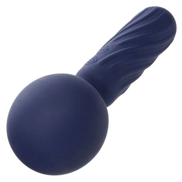 Charisma Seduction Massager 12 Funktionen 17,75 cm X 6,25 cm Lila von Calexotics kaufen | Fesselliebe
