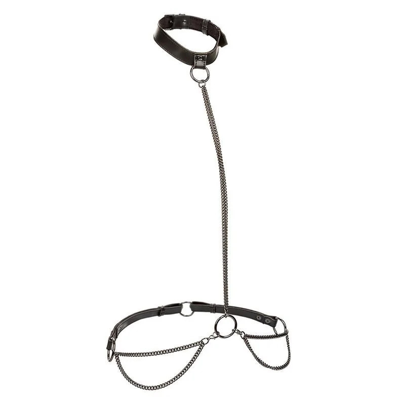 Euphoria Kettenhalfterhalsband und Leine von Calexotics kaufen | Fesselliebe 2