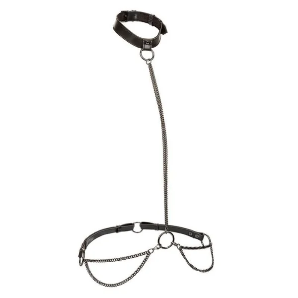 Euphoria Kettenhalfterhalsband und Leine von Calexotics kaufen | Fesselliebe