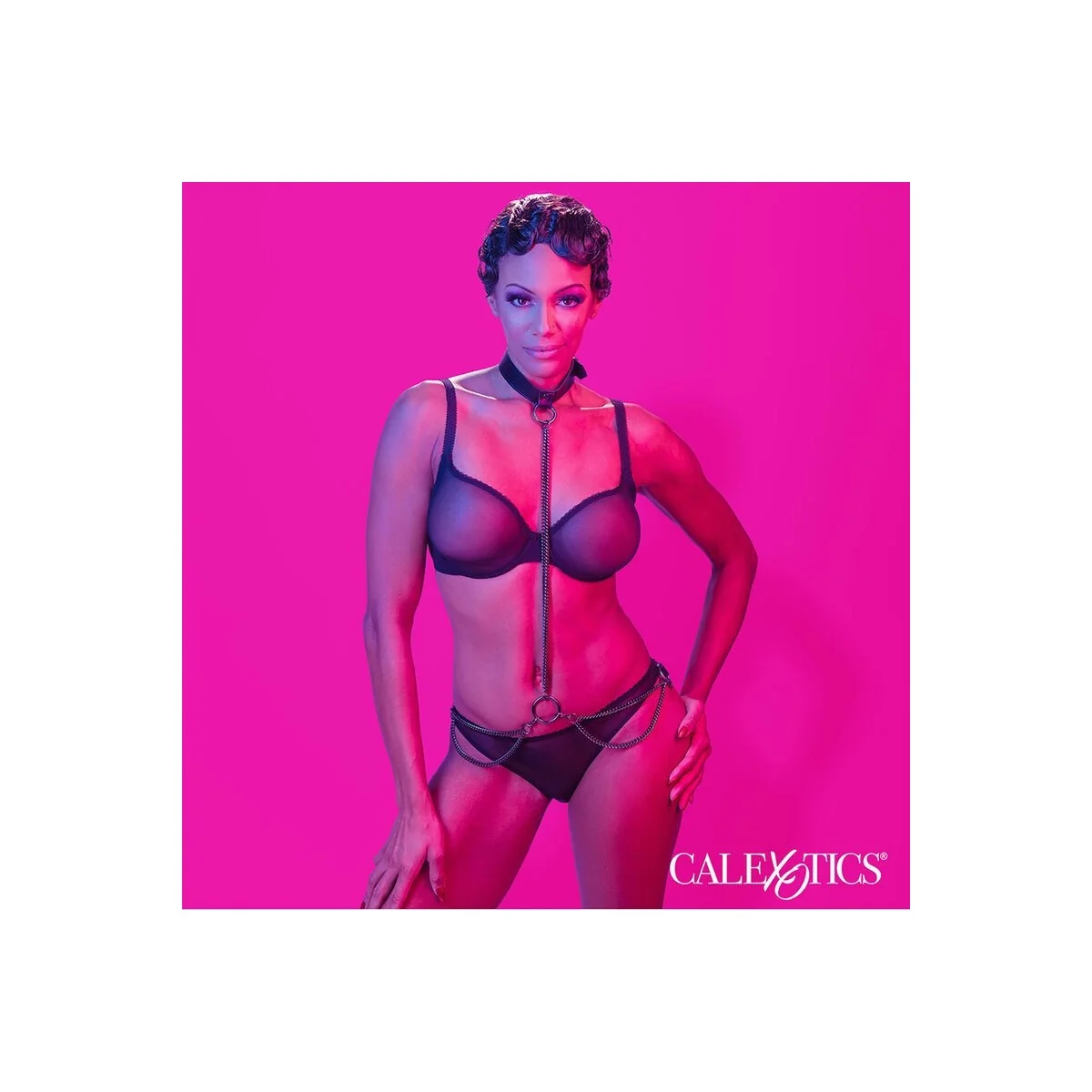 Euphoria Kettenhalfterhalsband und Leine von Calexotics kaufen | Fesselliebe