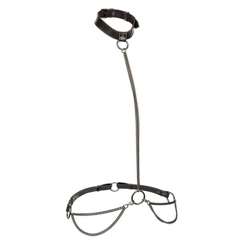 Euphoria Kettenhalfterhalsband und Leine Übergrösse von Calexotics kaufen | Fesselliebe 2