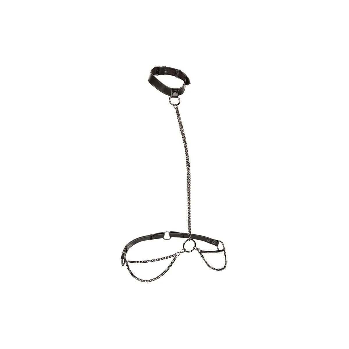 Euphoria Kettenhalfterhalsband und Leine Übergrösse von Calexotics kaufen | Fesselliebe