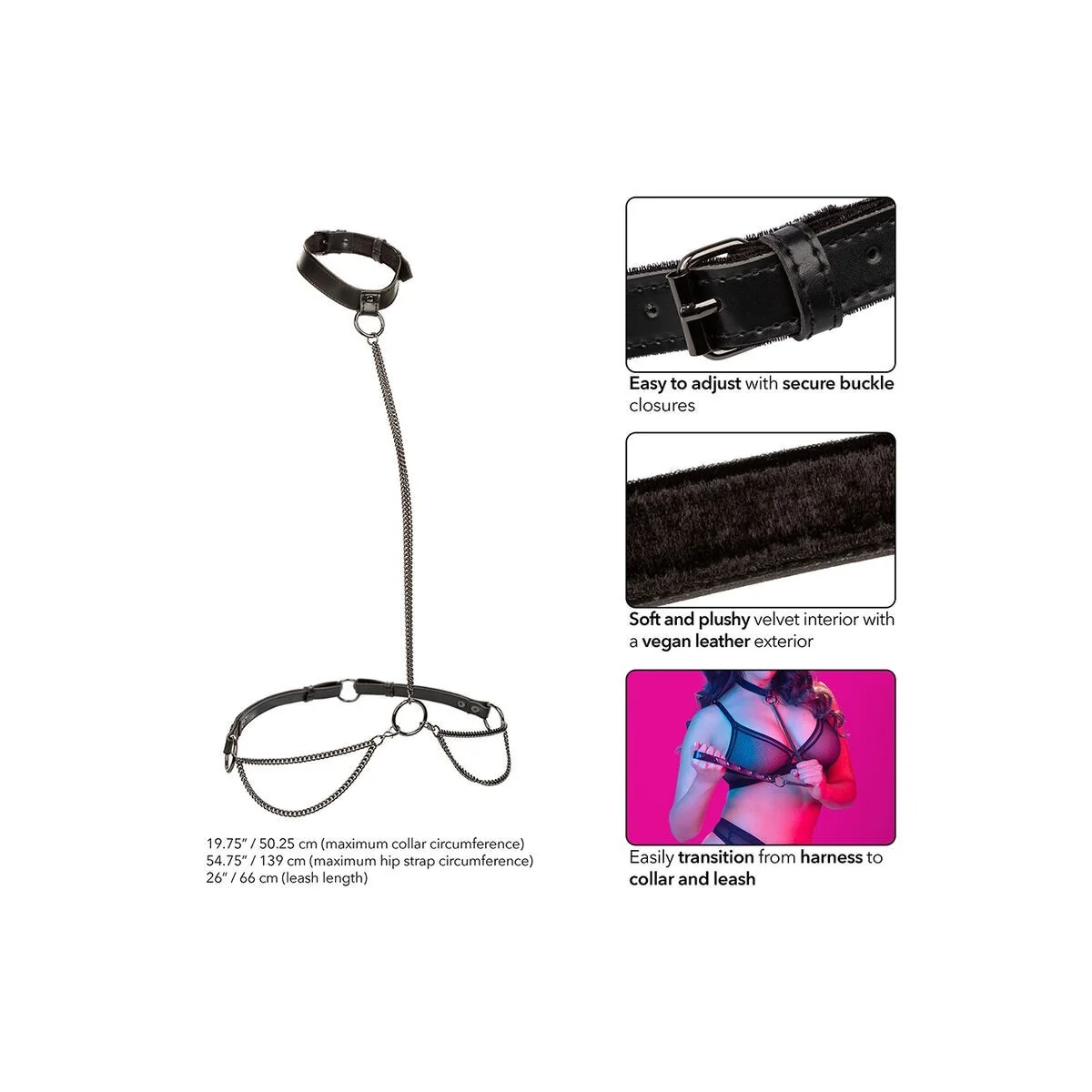 Euphoria Kettenhalfterhalsband und Leine Übergrösse von Calexotics kaufen | Fesselliebe