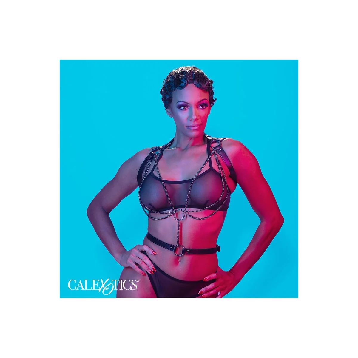 Euphoria Multichain Halter Harness Premium von Calexotics kaufen | Fesselliebe