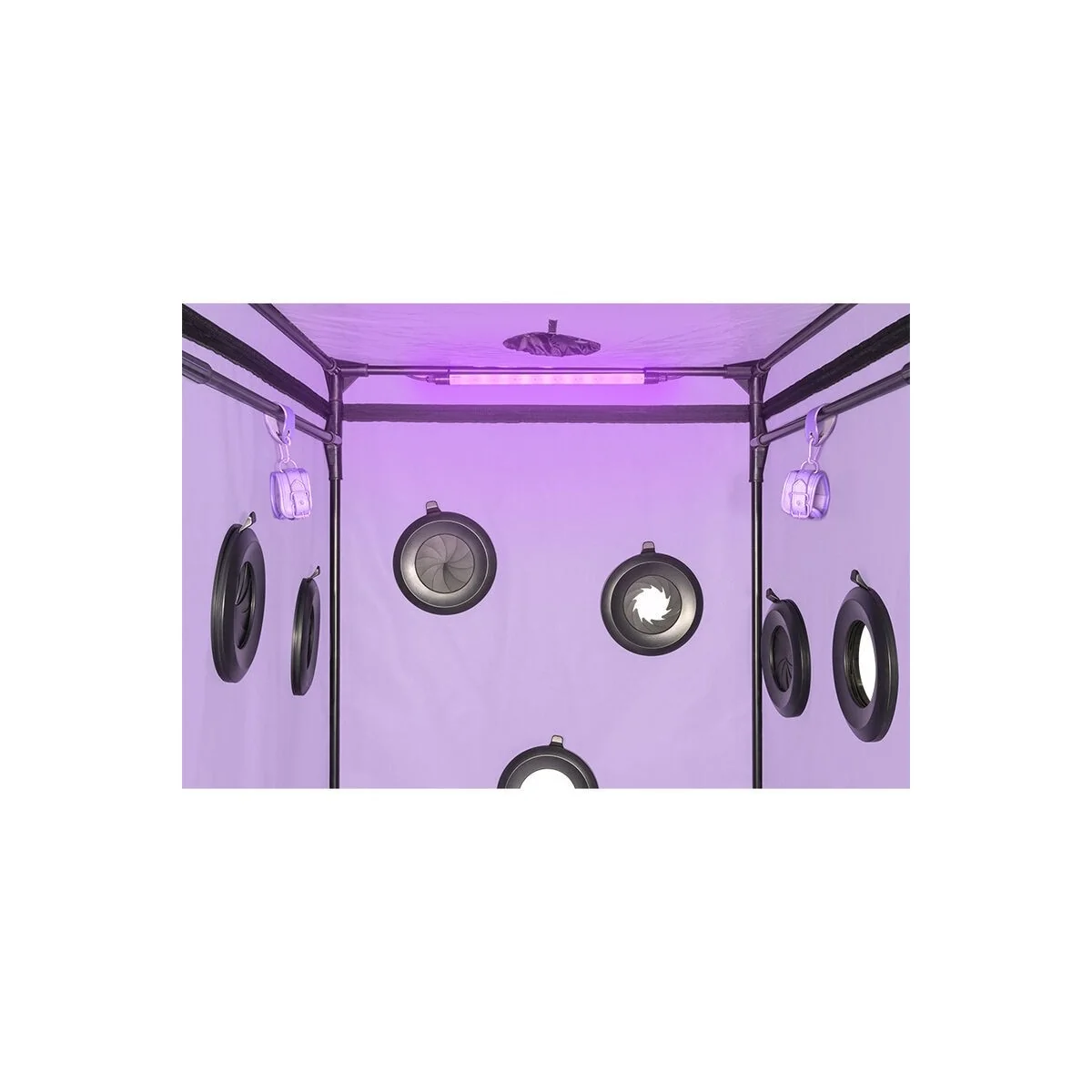 KINK CLUB CABIN SCANDALE LILA VON SECRET DOME