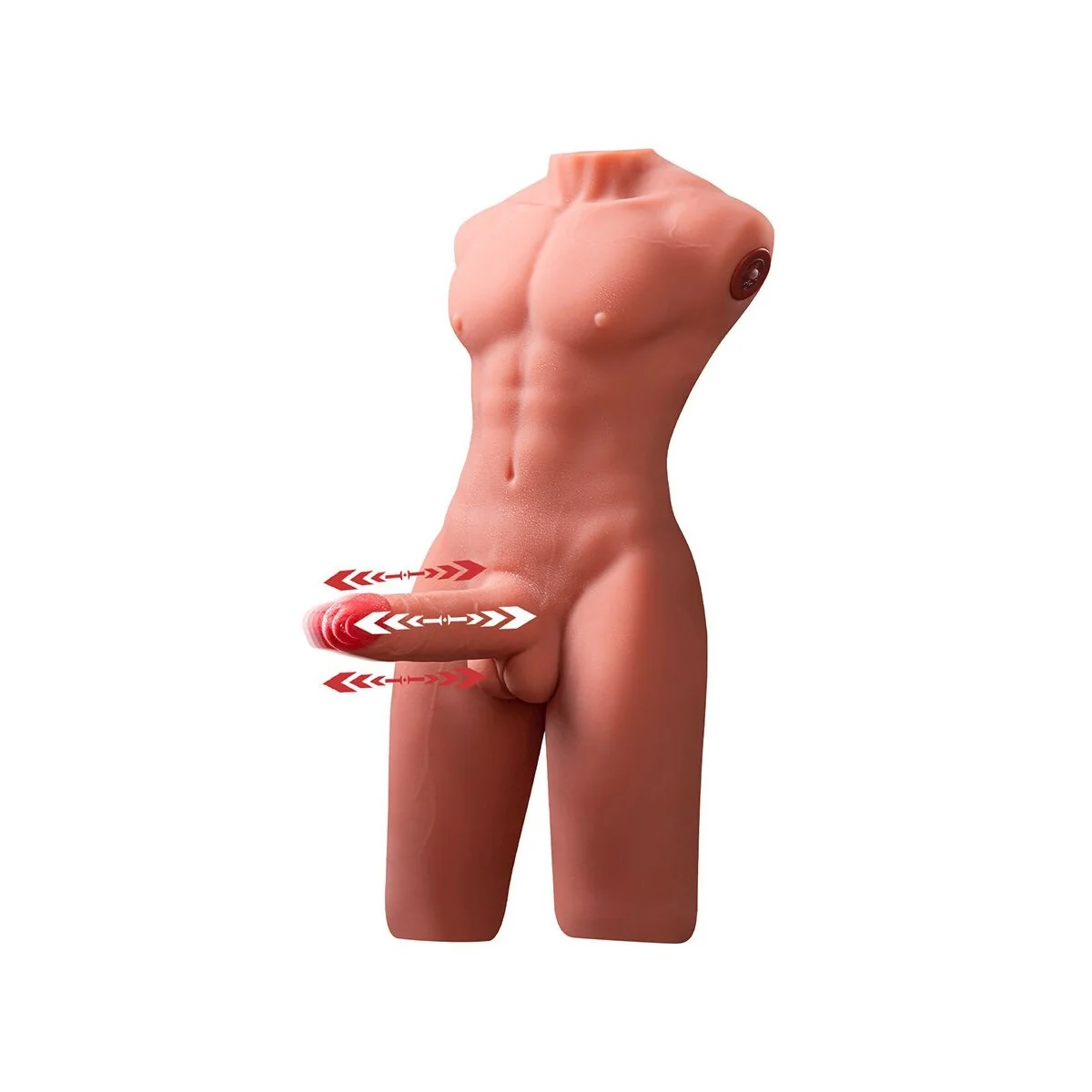 JASON HALBKÖRPER REALISTISCHER MÄNNLICHER TORSO MIT STOSS- UND VIBRATIONSMÖGLICHKEITEN 55 CM VON XISE