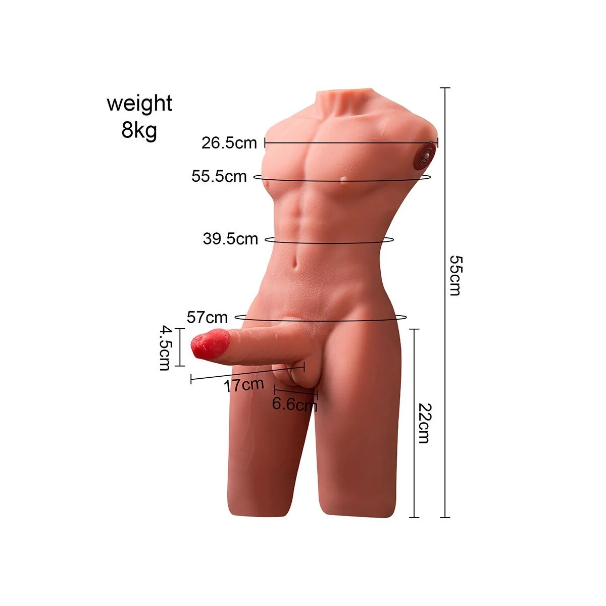 JASON HALBKÖRPER REALISTISCHER MÄNNLICHER TORSO MIT STOSS- UND VIBRATIONSMÖGLICHKEITEN 55 CM VON XISE