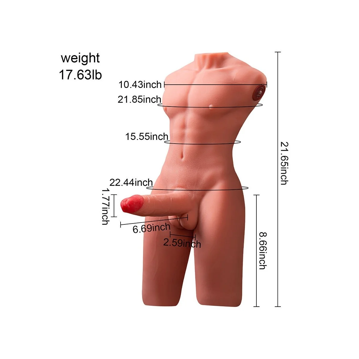 JASON HALBKÖRPER REALISTISCHER MÄNNLICHER TORSO MIT STOSS- UND VIBRATIONSMÖGLICHKEITEN 55 CM VON XISE