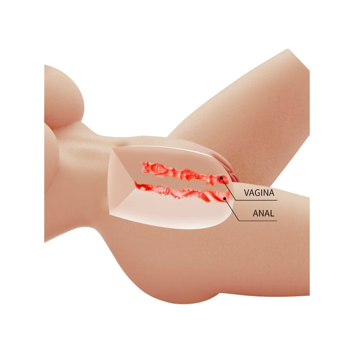 LILY REALISTISCHER WEIBLICHER TORSO VAGINA UND ANAL 4 KG VON CRAZY BULL