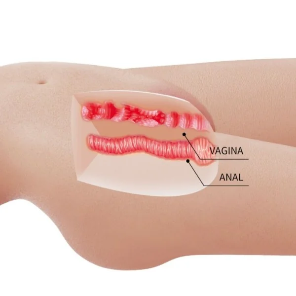 MIA REALISTISCHER WEIBLICHER TORSO VAGINA UND ANAL 8,5 KG VON CRAZY BULL