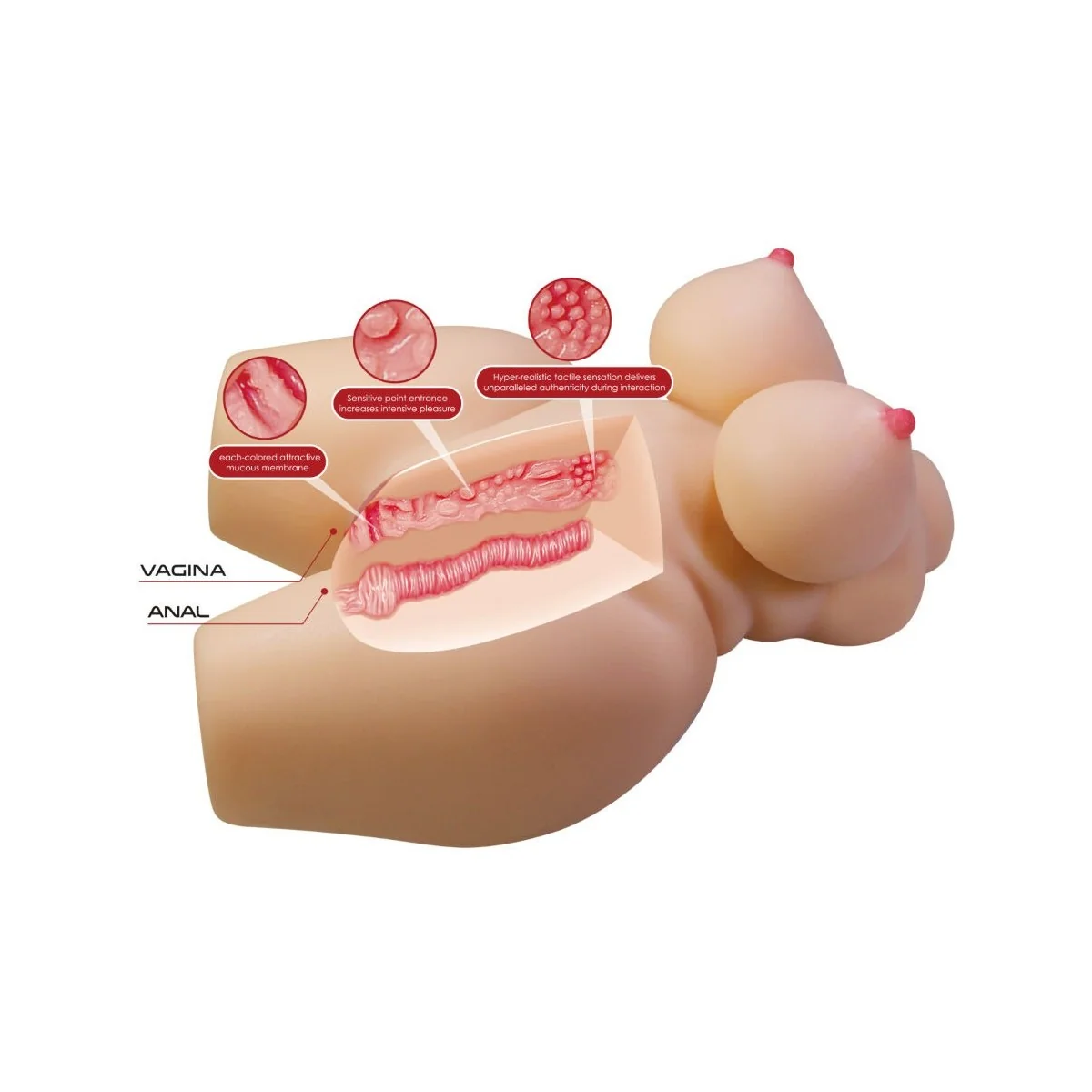 GRACE REALISTISCHER WEIBLICHER TORSO VAGINA UND ANAL 7,5 KG VON CRAZY BULL