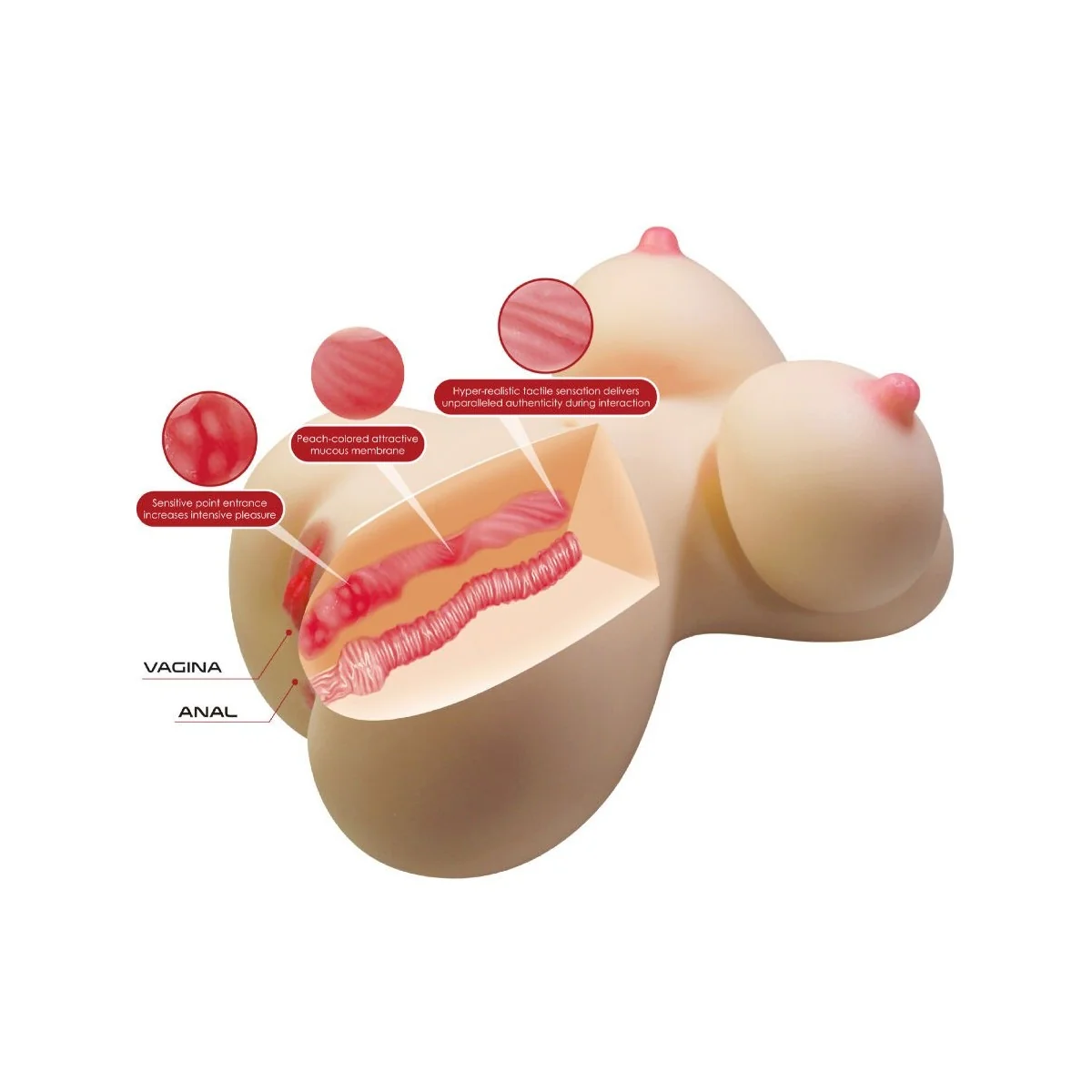 FIONA REALISTISCHER WEIBLICHER TORSO VAGINA UND ANAL 7,1 KG VON CRAZY BULL