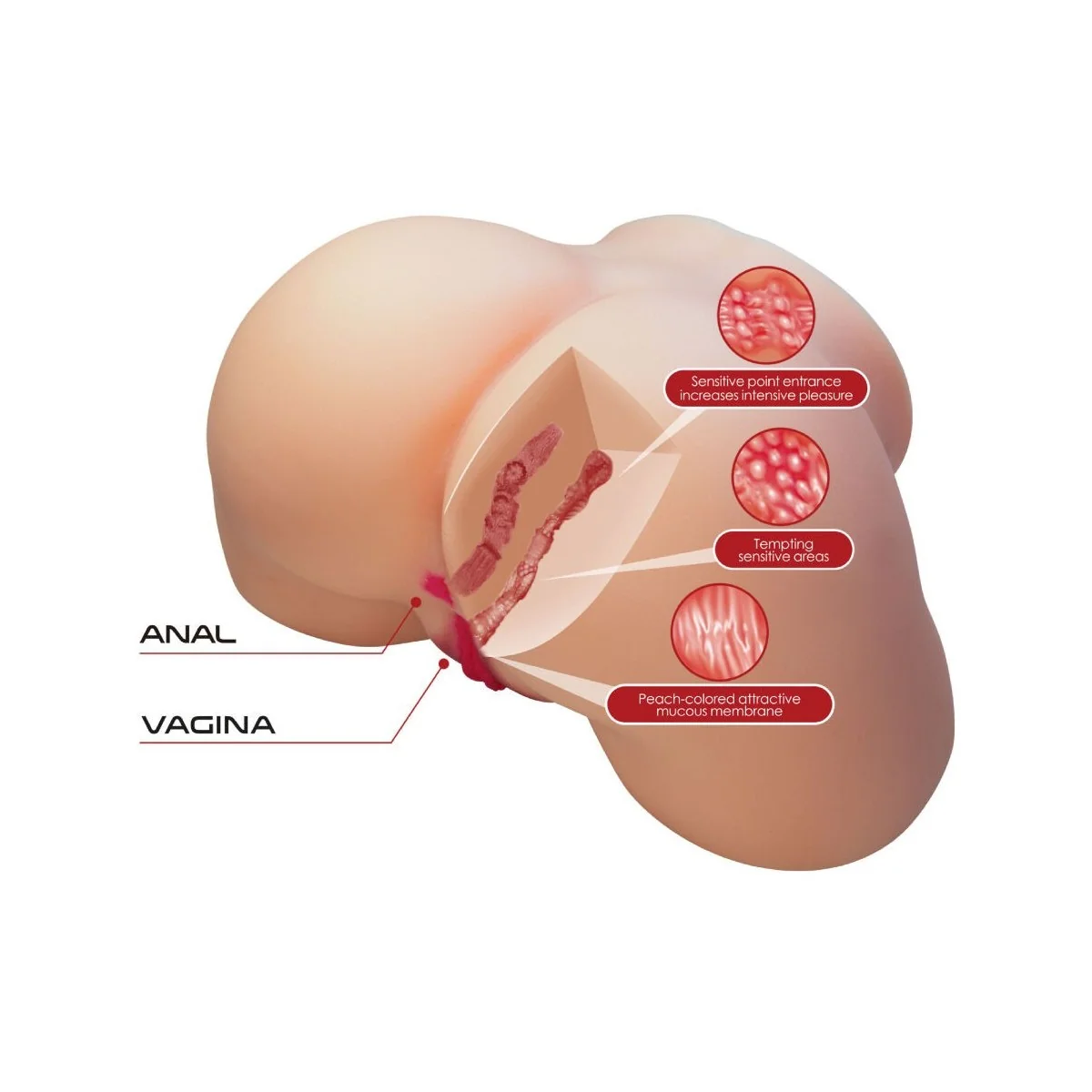 OLIVIA REALISTISCHER WEIBLICHER PO, VAGINA UND ANAL, 5,5 KG VON CRAZY BULL