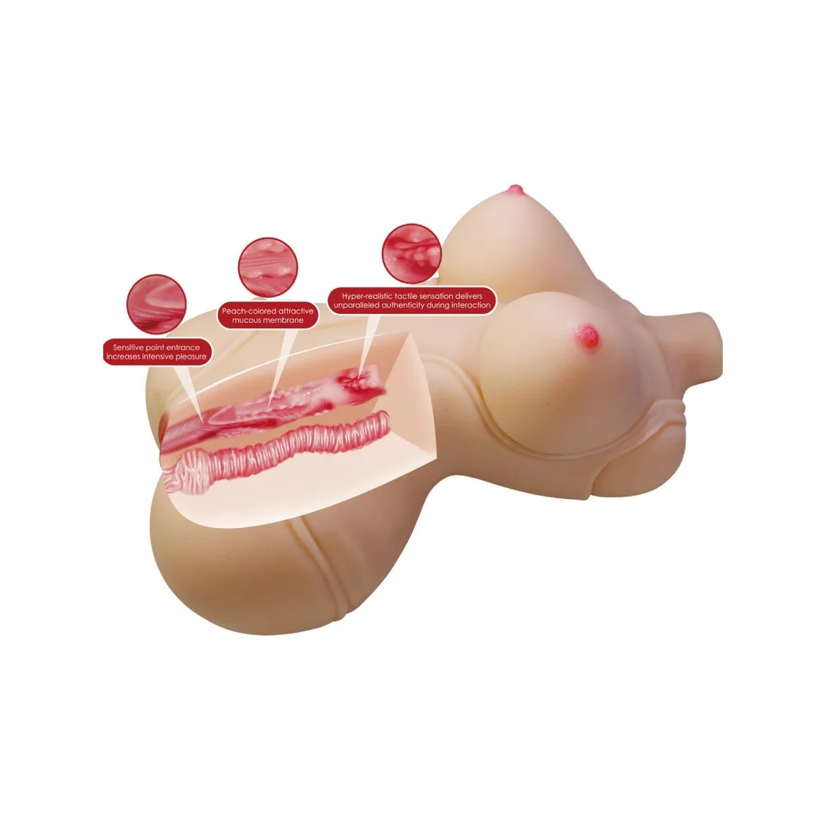 DIANA REALISTISCHER WEIBLICHER TORSO VAGINA UND ANAL 5 KG VON CRAZY BULL