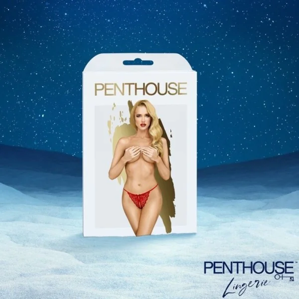 PREMIUM ADVENTSKALENDER 2025 VON SATISFYER