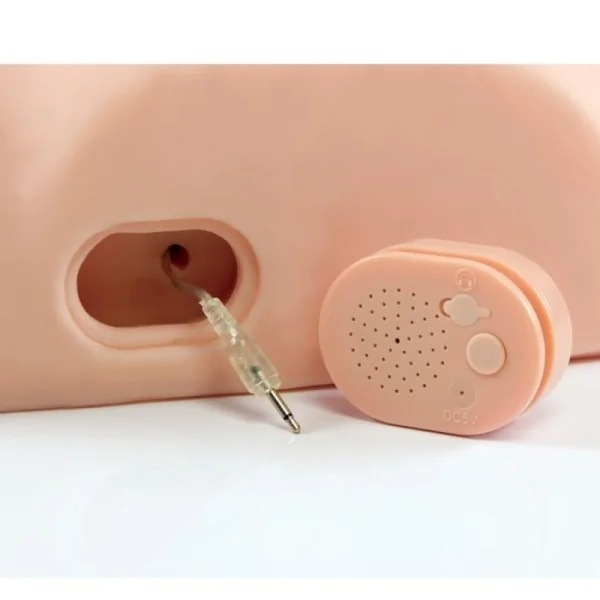 Männlicher Interaktiver Fick Ihn Alum von Pdx Male kaufen | Fesselliebe