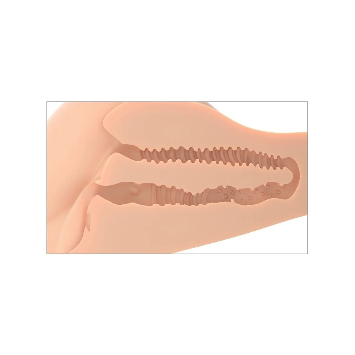 360 BANGER REALISTISCHER ANAL- UND VAGINA-MASTURBATOR VON PDX PLUS+