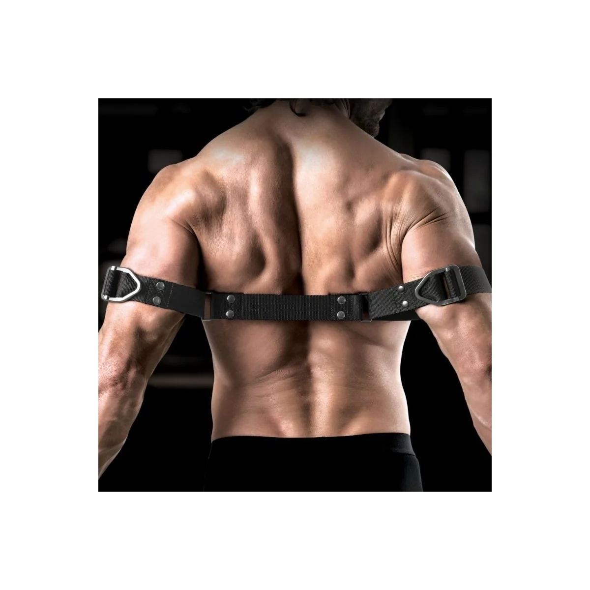 Befehl Bizeps Bender von Sir Richards kaufen | Fesselliebe