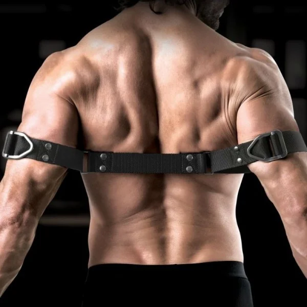 Befehl Bizeps Bender von Sir Richards kaufen | Fesselliebe