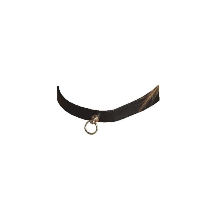 Halsband – Verstellbar von Bondage Play | Fesselliebe.de