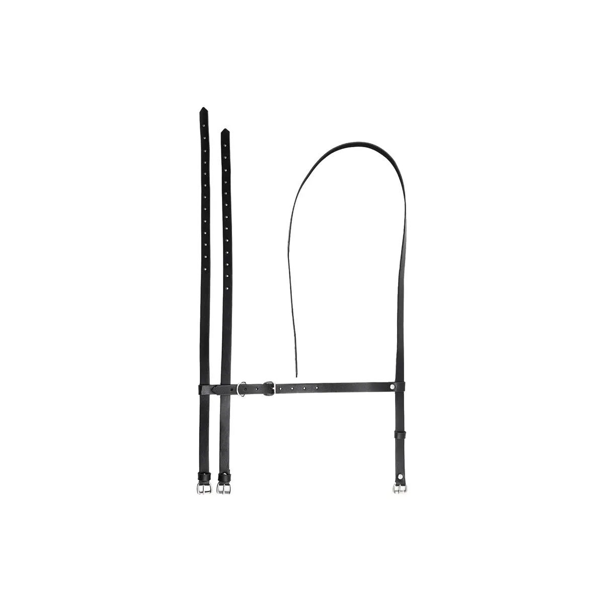 Martin Bein- und Taillen-Bondage-Gurtzeug von Intoyou BDSM Line | Fesselliebe.de