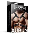 Aurum Bondage-Harness für Männer aus Veganem Leder von Intoyou BDSM Line