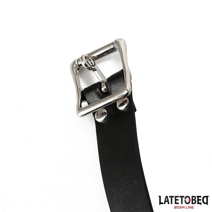Doppelter Penisknebel von Latetobed BDSM Line | Fesselliebe.de
