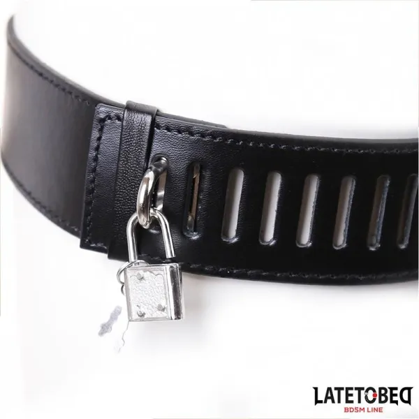 Keuschheitsgürtel für Frauen, Einheitsgrösse von Latetobed BDSM Line | Fesselliebe.de