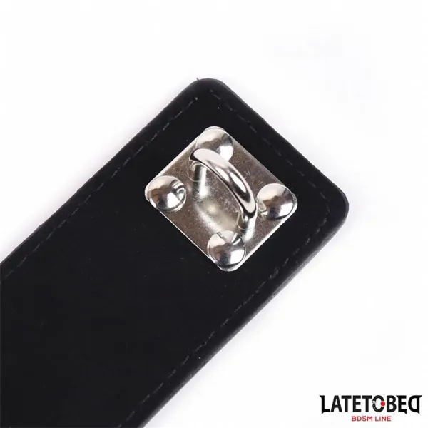 Keuschheitsgürtel für Frauen, Einheitsgrösse von Latetobed BDSM Line | Fesselliebe.de