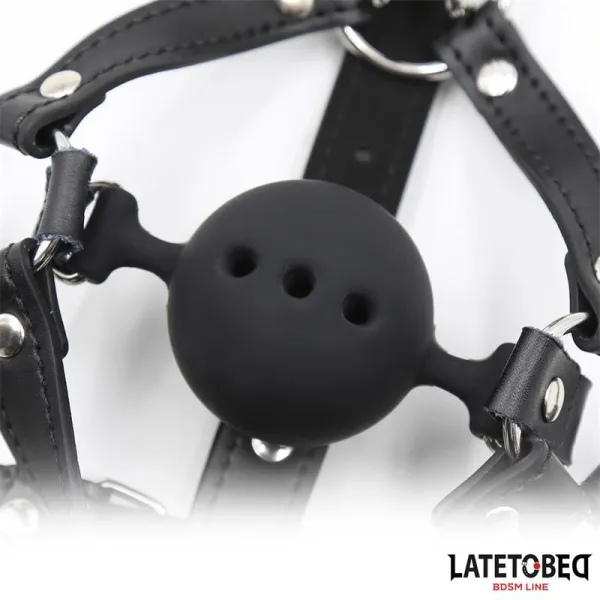 Kopfgeschirr mit Ballknebel und Nasenhaken von Latetobed BDSM Line | Fesselliebe.de
